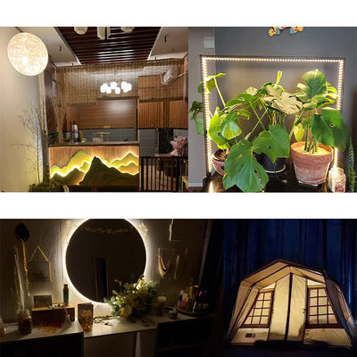 Décoration intérieure 3000K/4000K/6500K Electroplate flexible SMD2835 LED Strip Light 5V 8mm 120LED
