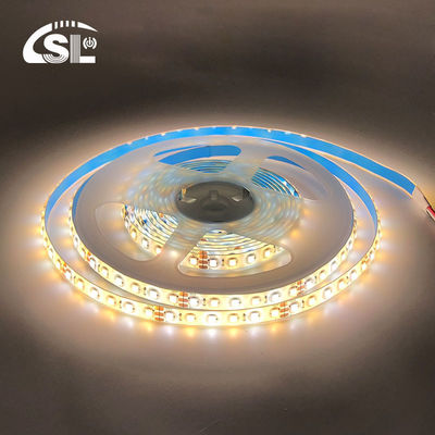 10 mm 240 leds 3000K-6500K CCT imperméable à l'eau ip65 double couleur SMD2835 LED Strip Light 12v24v