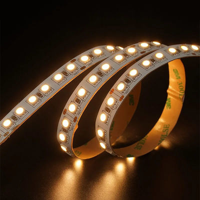 12V 24V poursuite douce en extérieur Silicone Smart Light Smd Flexible LED Neon Strip Light 10M