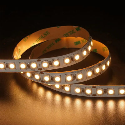 12V 24V poursuite douce en extérieur Silicone Smart Light Smd Flexible LED Neon Strip Light 10M