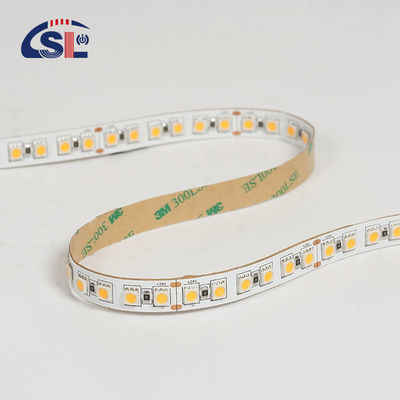 12V 24V poursuite douce en extérieur Silicone Smart Light Smd Flexible LED Neon Strip Light 10M