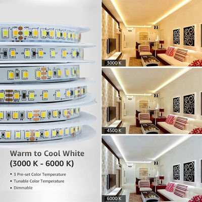 Éclairage de paysage haute luminosité Smd 2835 140D Led Flexible Strip Light CRI Ra 90