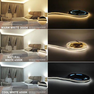 240LED 2835 LED Strip Light pour chambre cuisine bar blanc neutre / chaud blanc / blanc DC12V/24V