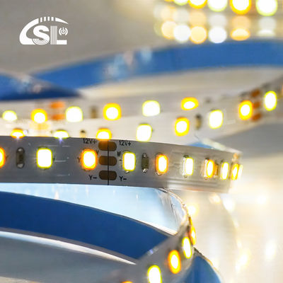 120 leds CCT LED Strip Light 2700k-6500k 5/10M/Roll 12/24V DC Voltage d'entrée DC 24V