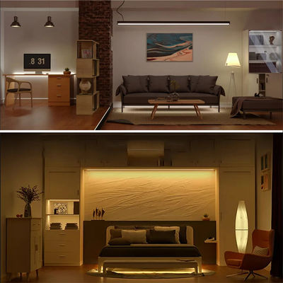 Décoration intérieure Haute luminosité 12v24v 10mm 120leds 3000K-6500K CCT Flexible à double couleur COB Led Strip Light