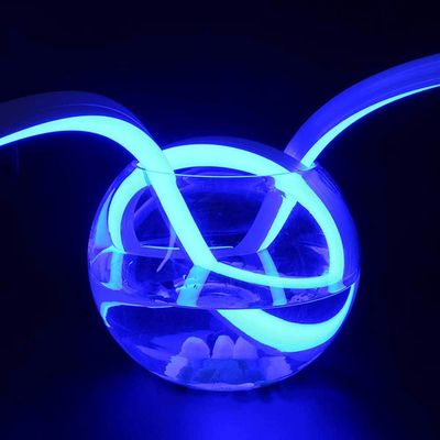 Lumière à bande LED au néon coupable à séparation colorée avec alimentation 5V 12V 24V AC220V
