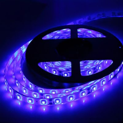 IP20 12V SMD2835 120LED/m LED Strip Light avec CE RoHS personnaliser la quantité LED