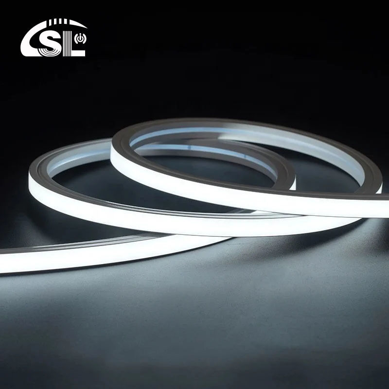 110V 127V 220V 260V extérieur IP65 imperméable à l'eau 120leds/m SMD 2835 LED Strip Light OEM ODM