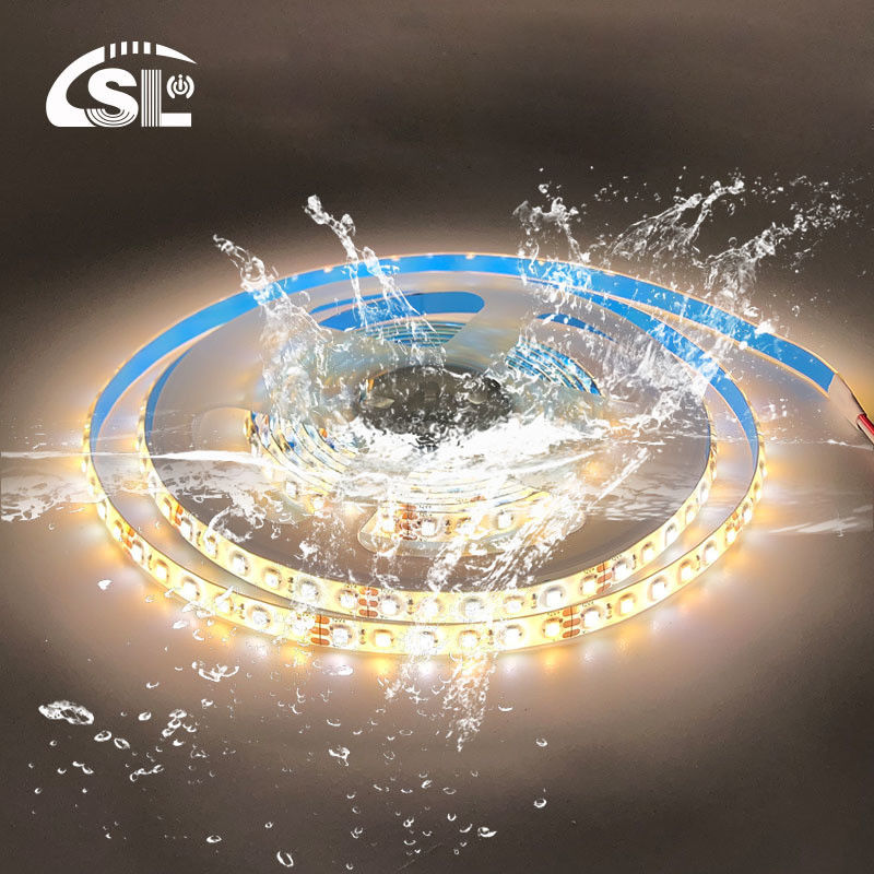 12mm 240leds 3000K-6500K CCT double couleur SMD2835 LED Strip Light avec 24V Voltage d'entrée