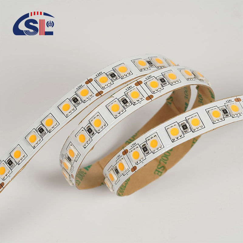 12V 24V poursuite douce en extérieur Silicone Smart Light Smd Flexible LED Neon Strip Light 10M