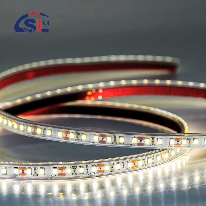 IP67 étanche 12V 24V bande LED Blanc chaud Blanc 2835 120LED/m pour le jardin extérieur
