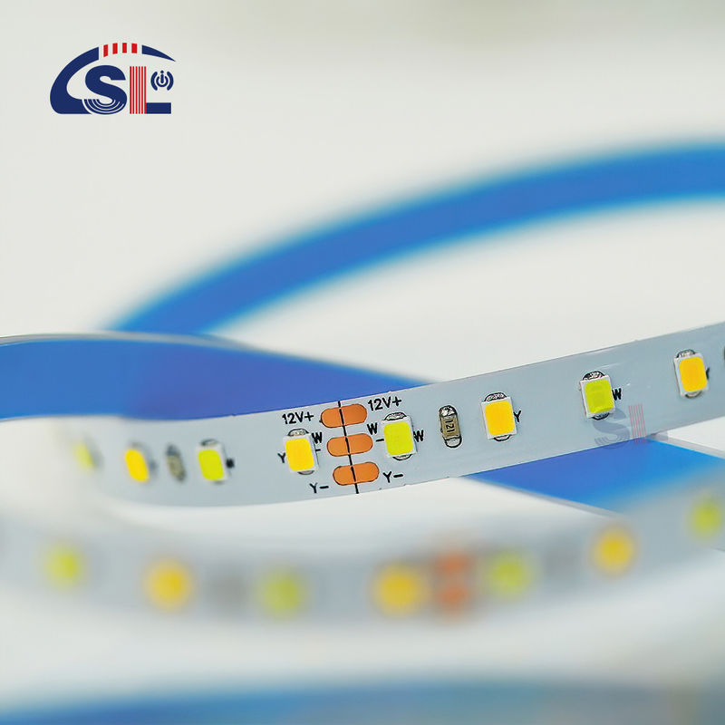 120 leds CCT LED Strip Light 2700k-6500k 5/10M/Roll 12/24V DC Voltage d'entrée DC 24V