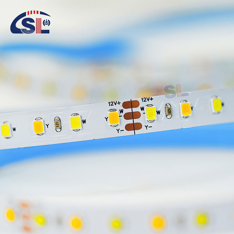 CCT personnalisé 12V24V 8mm 120leds 3000K-6500K chaud blanc-blanc SMD2835 lumière à bande LED
